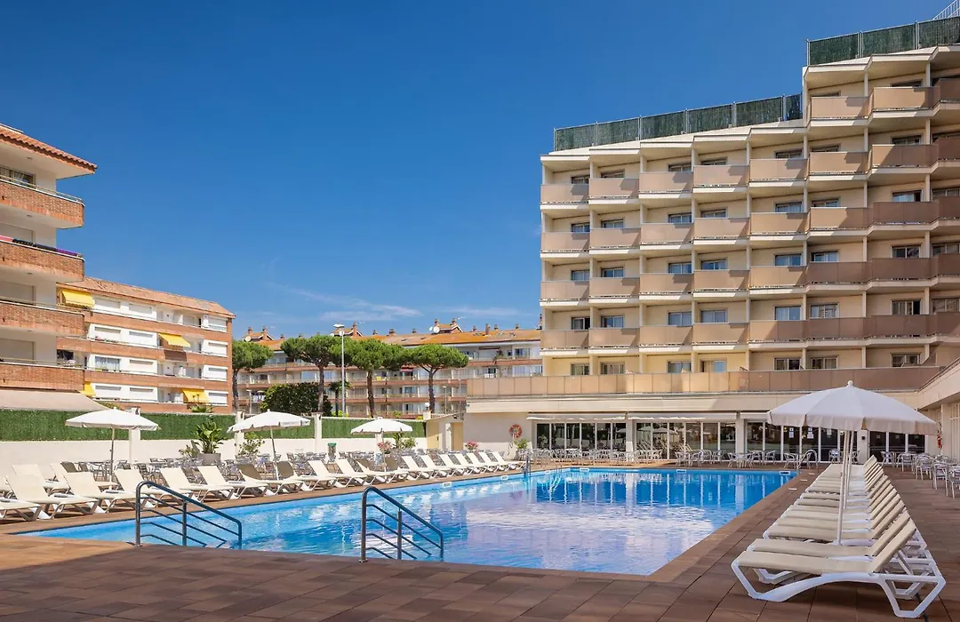 Htopbliss Amatista-1